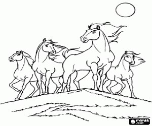 A herd of wild horses coloring page printable game