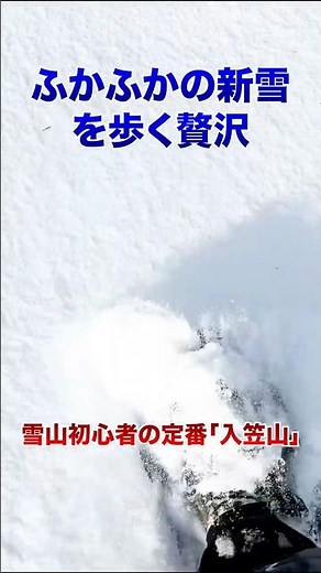 【雪山初心者にオススメ】東京から2時間でこの絶景！チェンスパでも🆗「入笠山」〜スノーハイクが楽しい〜 #shorts #登山 #入笠山 #富士山 #初心者向け