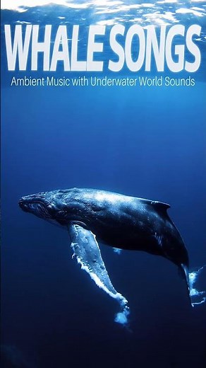 ✧ Deep Underwater Whale Sounds | Relaxing Ambient Music for Deep Sleep, Focus & Stress Relief