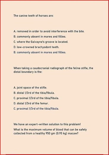 Vtne Practice Test C Actual Questions Answers2104 video