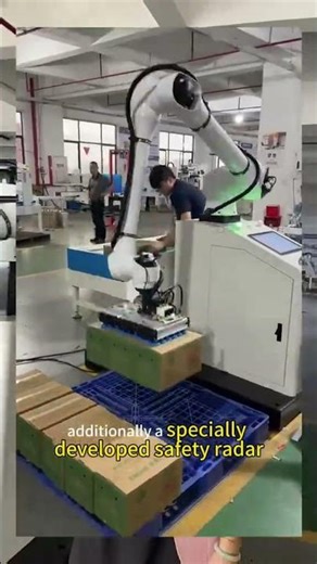 Palletizing Robot Safety System | Emergency Stop & Collision Protection #palletizing #machine