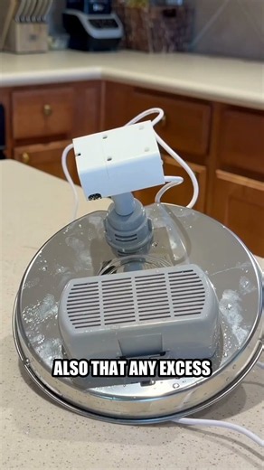 Testing a 74oz Cat Water Fountain - Is It Worth It?