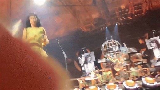 Katy Perry Takes Fan's Smart Glasses, Show Us What It's Like to be a Popstar