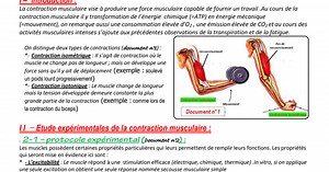 Le rôle du muscle strié squelettique dans la conversion d.pdf