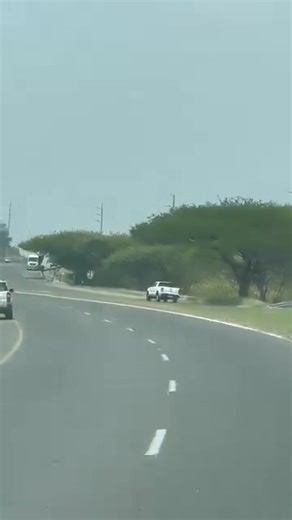 345K views · 3.6K reactions | Driver suffers an epileptic seizure before losing control of his vehicle along the R40 in Nelspruit SA | Godfatha Templemanzim | Facebook