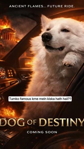 god car driving viral video || #foryou #viralvideo #youtubeshorts #dogshort#trading#doglove