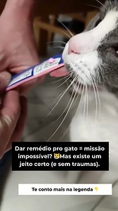 1.4M views · 16K reactions |  Dar remédio pro gato parece uma missão...