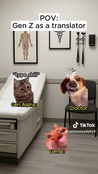 Gen Z Translators: A Fun Look at Cat Memes