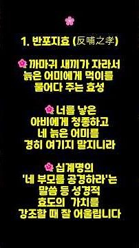 기독교인 99%가 공감하는 성경 속 네 글자 7가지 반포지효 (反哺之孝)의미: 까마귀 새끼가 자라서 늙은 어미에게 먹이를 물어다 주는 효성#성경속사자성어#반포지효#까마귀