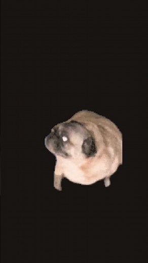 cuando le digo a mi compa que baile el me dise saco los proibido y yo le di que siiiiii el ta bueno