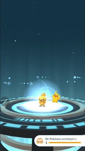 Shiny Torchic Evolution. Mega Evolution #pokemongo #megapokemons