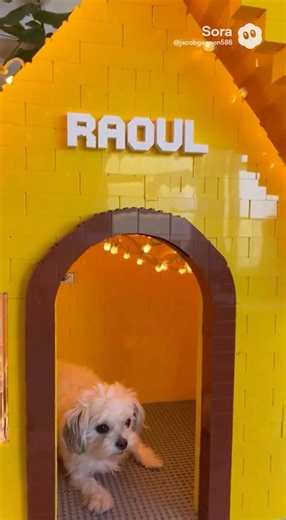 J’ai construit une MAISON LEGO GÉANTE pour mon chien