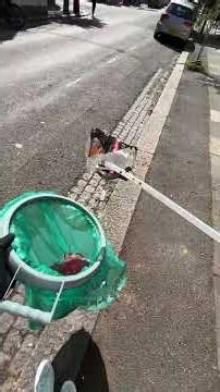 DAY 166 OF LITTER PICKING #litterpicking #dailychallenge #cleanup #rubbishclearance #day166
