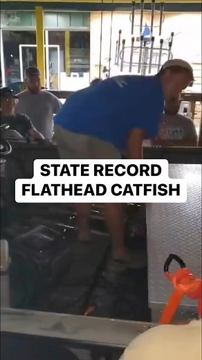 State Record Flathead Catfish! | 4REEL Fishing