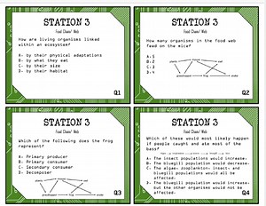 STATION 3 Food Chain/ WebQ1: How are living organisms linked ... | Filo
