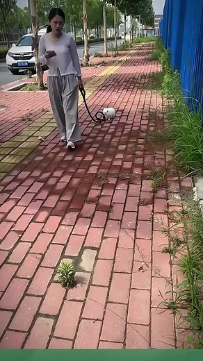 #funny #ccfl7
