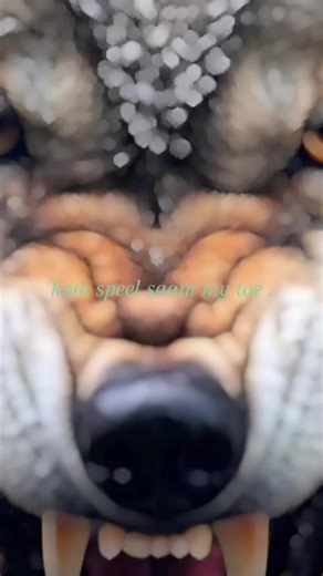 Emile Holtzhausen (@emile.holtzhausen)’s videos with Acid Cry (Original Mix) - Distorted Dreams