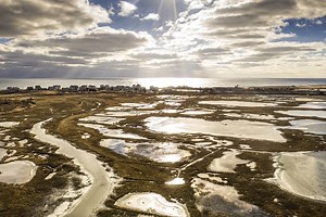 Amphibious Dredging & Wetland Remediation | J.F. Brennan Company