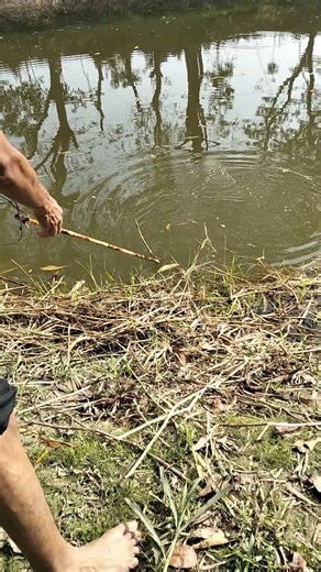 😲 Fishing part -2897