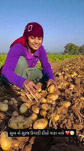 840K views · 15K reactions |   ❤️❤️જય જવાન જય કિસાન #agriculture #farm #farmlife #farmer #tractor #farmers #johndeere #nature #fendt #landwirtschaft #organic #harvest #farminglife #farmingsimulator #countrylife #agri #agriculturelife #gardening #agro #newholland #photography #food #fs #cows #tractors #ls #cattle #cow #claas #fecbookreels #ffffffyyyyyyppppp #fecbookpost #fbreelsfypシ゚ #vairalpost #deesacity | PinalBen Vadhaniya | Facebook
