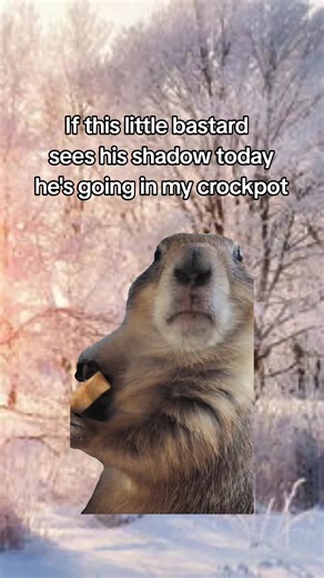 Groundhog Day Meme Fun: Crockpot Humor
