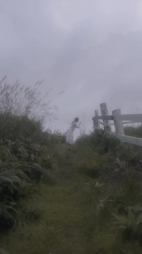 Exploring Japanese Countryside Aesthetics