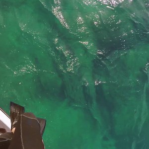 563 reactions · 91 shares | Calling all thrill seekers! Here's how to do Cape Verde like a boss  | First Choice Holidays | Facebook