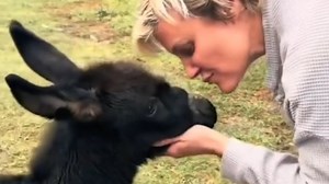 Donkey Makes Sweetest Sound for Human Mom - 1Funny.com