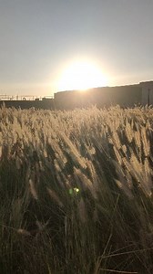 4.3K views · 15 reactions | .view of sunset dubai hills . . #dubai #mydubai #dubailife #uae #vistdubai #dubaicity #dubailifestyle #dubailifestyleblogger #dubaimarina #dubaimall #dubai #dubairealestate #dubairealestatebroker #dubaifreezone #dubaivisa #dubaijobs #dubaiphotography #dubaireels #dubaihotel | HNMujahid Films | Facebook