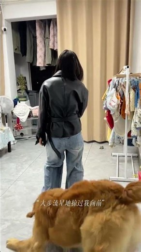 Dog Don t snatch my toy#Golden Retriever#Me and my dog#Abstract#Low-fat video#My daily lif
