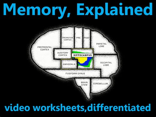Memory Eplained: video worksheets, differentiated. | Teaching Resources