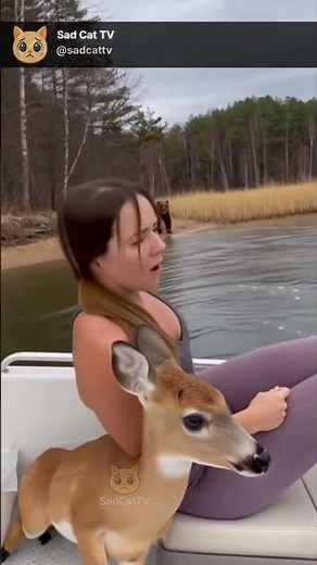 Deer Escapes Huge Bear... Jumps on Boat Unexpectedly! 😱🦌🐻