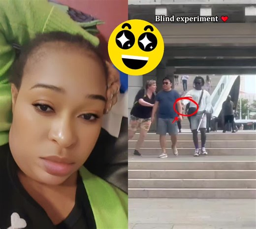 Funny Social Experiment with Cats