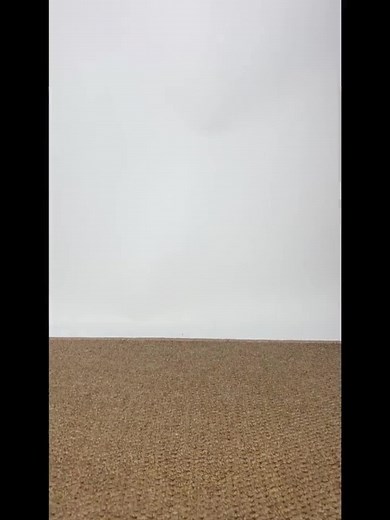 Juice Socks trên TikTok