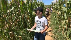 60K views · 520 reactions | Il faut avoir un grain pour s'amuser à se perdre dans ce labyrinthe de maïs... Si jamais l'envie vous prend, c'est à Foucherans dans le #Jura | France 3 Franche-Comté | Facebook