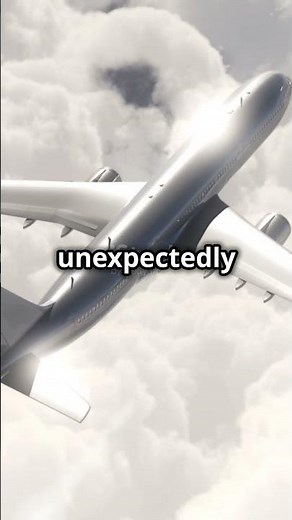 SAFETY EXPERT Reveals Why Wearing SEAT BELTS on Airplanes is a MUST!