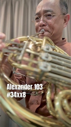 Alexander 103 Horn - clean and miscellaneous repairs