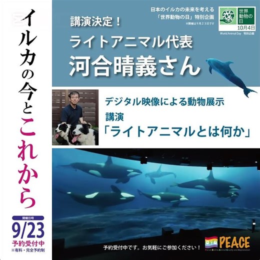 9月23日 参加者募集！世界動物の日 特別企画 「イルカの今とこれから」🐬やシャチが好きな方は絶対参加！
