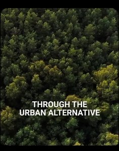 11K views · 624 reactions | Tony Evans on Reels | Facebook