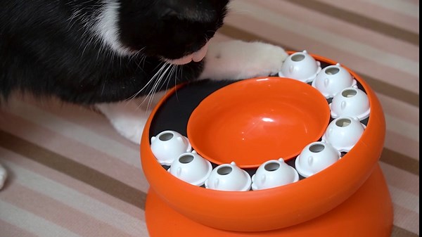 Cat Slow Feeder, Interactive Slow Feeder Cat Bowl Raised Elevated Cat Puzzle Feeder Food Puzzle Feeder for Indoor Cats Slow Eating Dry Food (Orange)
