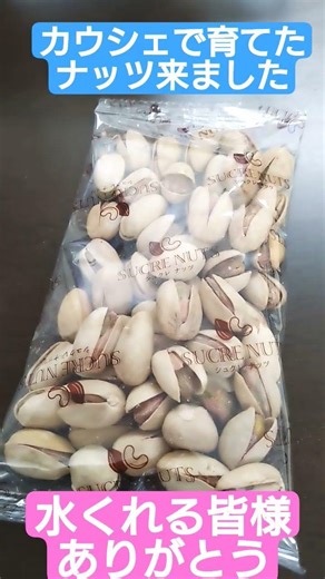 カウシェで育てたナッツ収穫 届きました