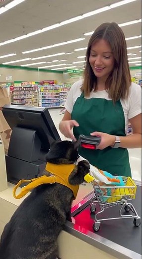 Shopping with Mun 😹 | Mun Shorts Funny #funny #cat