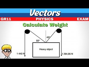 Exam question vectors gr 11