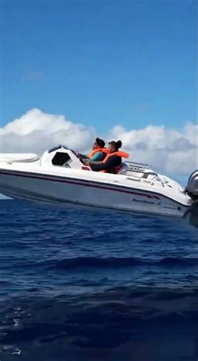 They Never Saw the Wake Coming