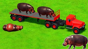 ZOO TRANSPORT WITH VALTRA TRACTORS - HIPPO LOAD TRACTORS - Farming Simulator MOD | For Kids Español