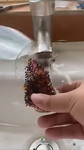 19K reactions · 1.3K shares | Ameer Banna chahte ho to #facts #succes #successtips #power #money #mastermind #motivation #factkiduniya #generalknowledge #motivationalvideo #entrepreneur #goals #viralreels #reelinstagram #instagood #leadership development #enterpreneurcommunity #businesshindi #businessstrategy #psychology #love #lovequotes #hindi #sad #life #luxurylife #factself #thought #trendingvideo | Lifes Destiny | Facebook