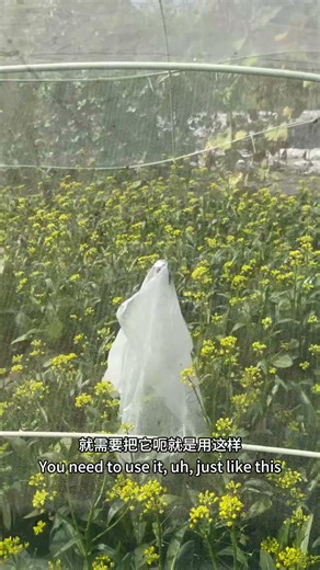 #Fiberglass Rods #Seedling Sheds #Insect-proof Net Sheds #Agricultural Greenhouses #Rain Shelters