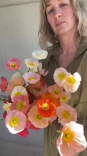 Have you ever freehanded a poppy bouquet? SO tricky! #wildfloweracademy #floraldesigneducation #poppies #howtobeaflorist