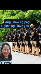 #funnydogs #anggaling madaling turuan ang mga aso na mgsalita good job doggie | Ruby Posiquit
