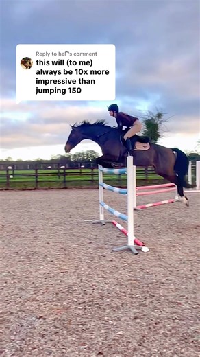 Bridleless Jumping: 1.50 Meter Challenge Explored